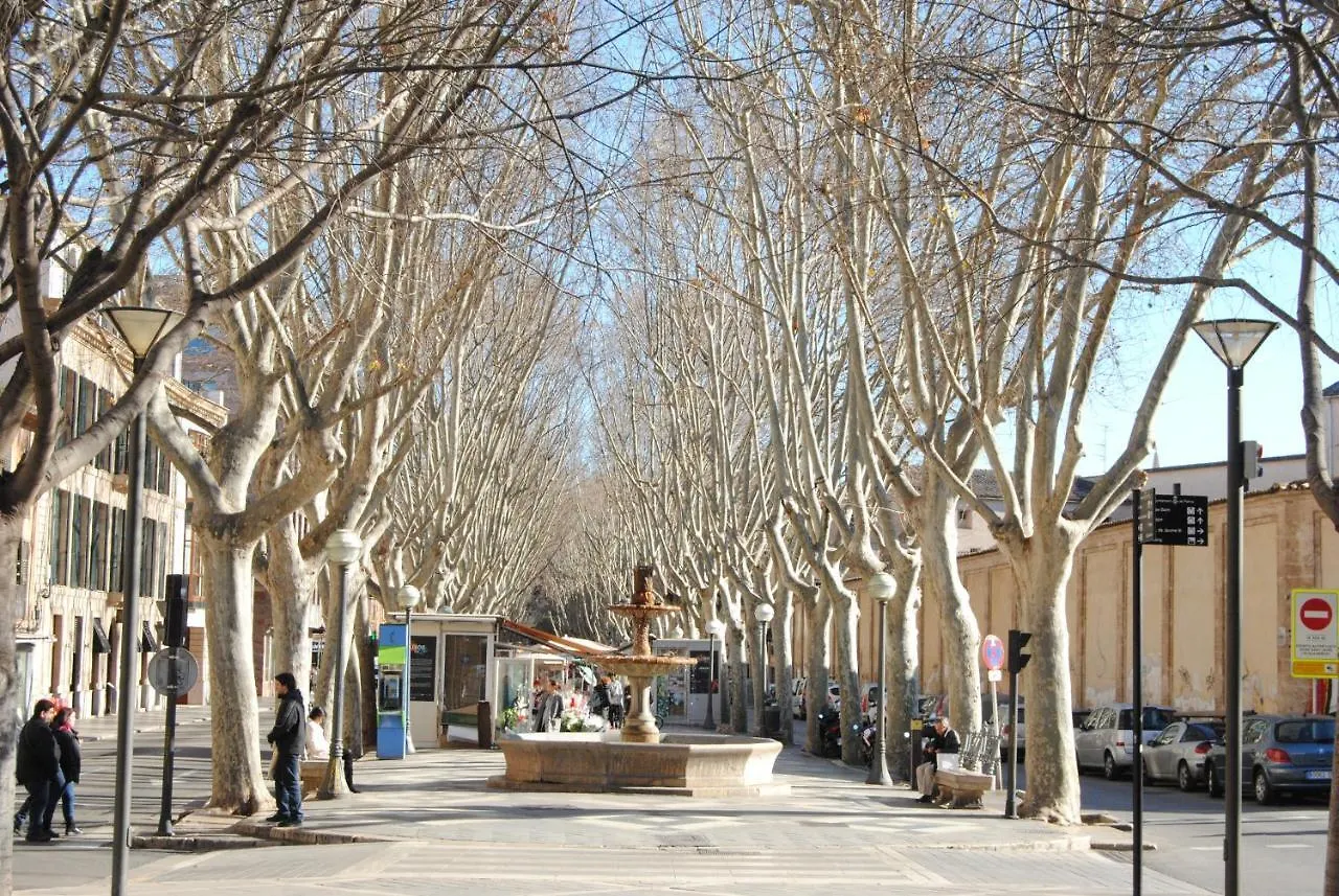 Cream Homes La Rambla, Turismo De Interior Palma Apartment